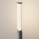 Stalpi - Mini Stalp LED iluminat exterior IP65 Lit grafit H-78,5cm