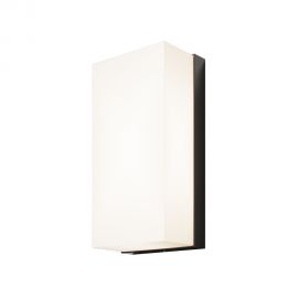 Aplice - Aplica LED pentru exterior IP54 Badd