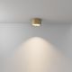 Iluminat pentru baie - Spot LED aplicat cu protectie IP44 Hydra D-17.6cm auriu