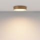 Plafoniere cu spoturi, Spoturi aplicate - Plafoniera LED design tehnic Zoom D-30cm 3000K aurie