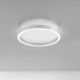 Plafoniere - Plafoniera LED design slim AELA 40cm, auriu, alb sau negru