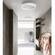 Plafoniere - Plafoniera LED design slim AELA 40cm, auriu, alb sau negru