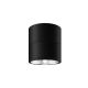 Spoturi - Spot LED rotativ pentru exterior IP54 Spin grafit