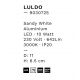 Plafoniere cu spoturi, Spoturi aplicate - Spot aplicat, Plafoniera LED Luldo alb, 11cm