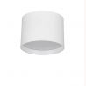 Spot aplicat, Plafoniera LED Ziaza alb, 12cm