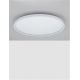 Plafoniere - Plafoniera LED RGB si telecomanda Chet 58cm