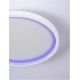 Plafoniere - Plafoniera LED RGB si telecomanda Chet 39cm