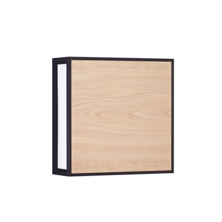 Aplice - Aplica de perete LED iluminat exterior decorativ IP65 ASTRAL