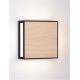 Aplice - Aplica de perete LED iluminat exterior decorativ IP65 ASTRAL