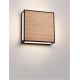 Aplice - Aplica de perete LED iluminat exterior decorativ IP65 ASTRAL