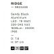 Aplice - Aplica LED ambientala iluminat exterior IP65 RIDGE
