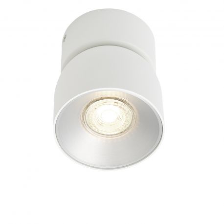 Plafoniere cu spoturi, Spoturi aplicate - Spot aplicat tavan directionabil Pitcher alb