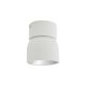 Plafoniere cu spoturi, Spoturi aplicate - Spot aplicat tavan directionabil Pitcher alb