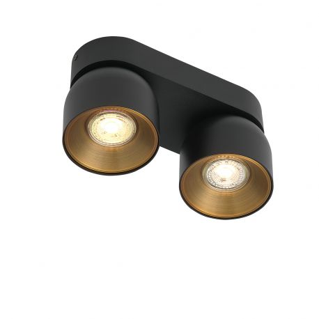 Plafoniere cu spoturi, Spoturi aplicate - Spot aplicat tavan directionabil Pitcher 2L negru