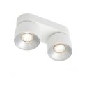 Spot aplicat tavan directionabil Pitcher 2L alb