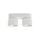 Plafoniere cu spoturi, Spoturi aplicate - Spot aplicat tavan directionabil Pitcher 2L alb