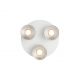 Plafoniere cu spoturi, Spoturi aplicate - Spot aplicat tavan directionabil Pitcher 3L alb