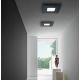 Plafoniere - Aplica LED perete sau tavan BILDE 39x39cm, alb, negru sau auriu