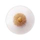 Aplica de perete LED design modern decorativ Allure 1L Clear Glass