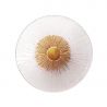 Aplica de perete LED design modern decorativ Allure 1L Clear Glass
