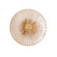 Aplica de perete LED design modern decorativ Allure 1L Champagne