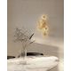 Aplice, corpuri de iluminat pentru pereti - Aplica de perete LED design modern decorativ Allure 5L