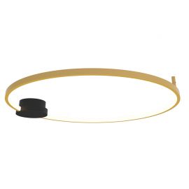 Lustre aplicate - Lustra aplicata LED design inelar Ring auriu, 80cm