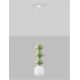 Pendule, Lustre suspendate - Pendul ceramic design modern CHIC verde