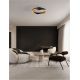 Plafoniere - Lustra LED aplicata design modern RADON