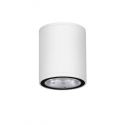 Spot LED aplicat de exterior IP65 LUMINA D-6,5cm alb