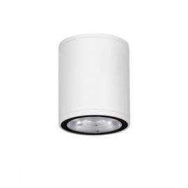 Spoturi - Spot LED aplicat de exterior IP65 LUMINA D-6,5cm alb