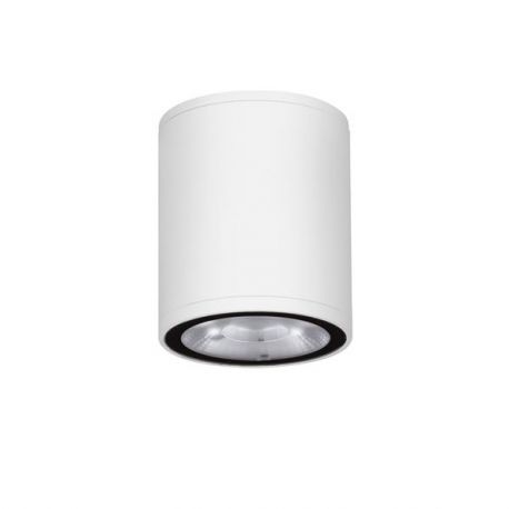 Spoturi - Spot LED aplicat de exterior IP65 LUMINA D-6,5cm alb