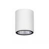 Spot LED aplicat de exterior IP65 LUMINA D-6,5cm alb