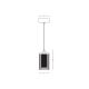 Pendule, Lustre suspendate - Pendul LED dimabil design modern decorativ Luxury auriu