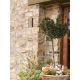 Aplice - Aplica de exterior LED design decorativ IP65 Elys I
