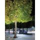 Spoturi - Spot LED incastrabil de exterior decorativ IP67 Wael A