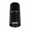Spot aplicat tavan Arke GU10 negru