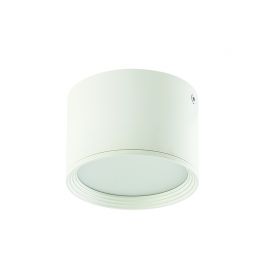 Plafoniere cu spoturi, Spoturi aplicate - Spot LED aplicat tavan Lyss alb