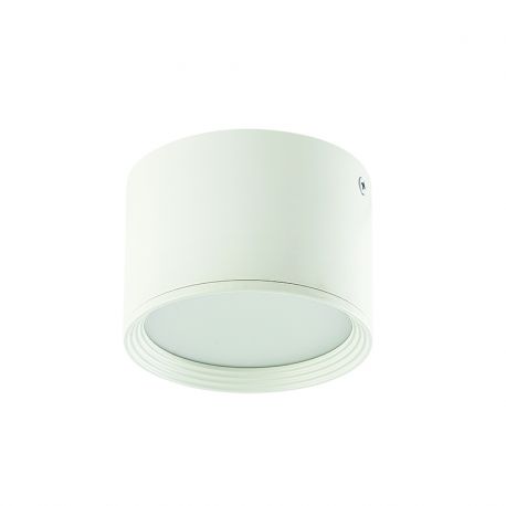 Plafoniere cu spoturi, Spoturi aplicate - Spot LED aplicat tavan Lyss alb