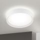 Plafoniere - Plafoniera LED iluminat ambiental VARIO D-40cm