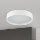 Plafoniere - Plafoniera LED iluminat ambiental VARIO D-40cm