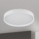 Plafoniere - Plafoniera LED iluminat ambiental VARIO D-60cm