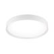 Plafoniere - Plafoniera LED iluminat ambiental VARIO D-60cm