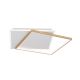 Plafoniere - Plafoniera LED design slim EMANUEL auriu/alb