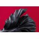 Statuete - Statueta decorativa extravaganta Fisch Crowntail 65cm, negru