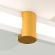 Plafoniere - Plafoniera LED moderna GRACE alb/auriu