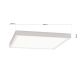 Plafoniere - Plafoniera LED design slim LERO square 30cm 4000K argintie