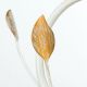 Veioze - Veioza/Lampa de masa design elegant SISI ivory-gold