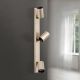 Plafoniere cu spoturi, Spoturi aplicate - Aplica de perete/tavan cu Spoturi stil minimalist modern SEAN 3L auriu