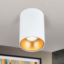 Plafoniere cu spoturi, Spoturi aplicate - Spot aplicat tavan STARLIGHT alb